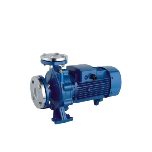 Bomba Normalizada CS SS