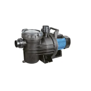 Bomba piscina P-FLOW 2